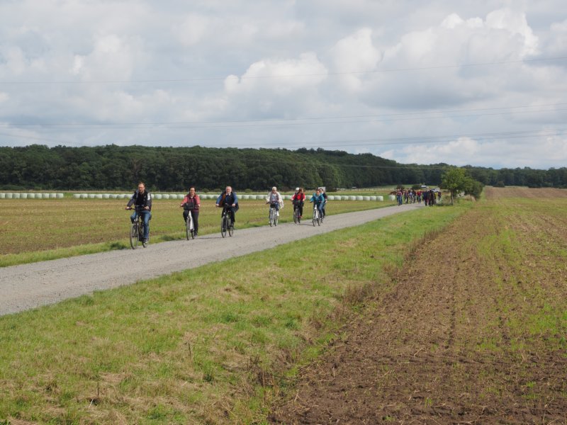 em180087.jpg