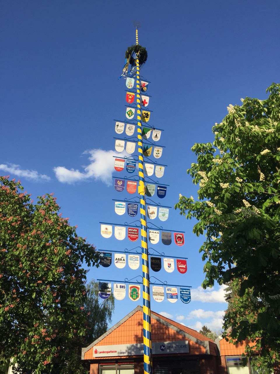 Maibaum bei Nacht
